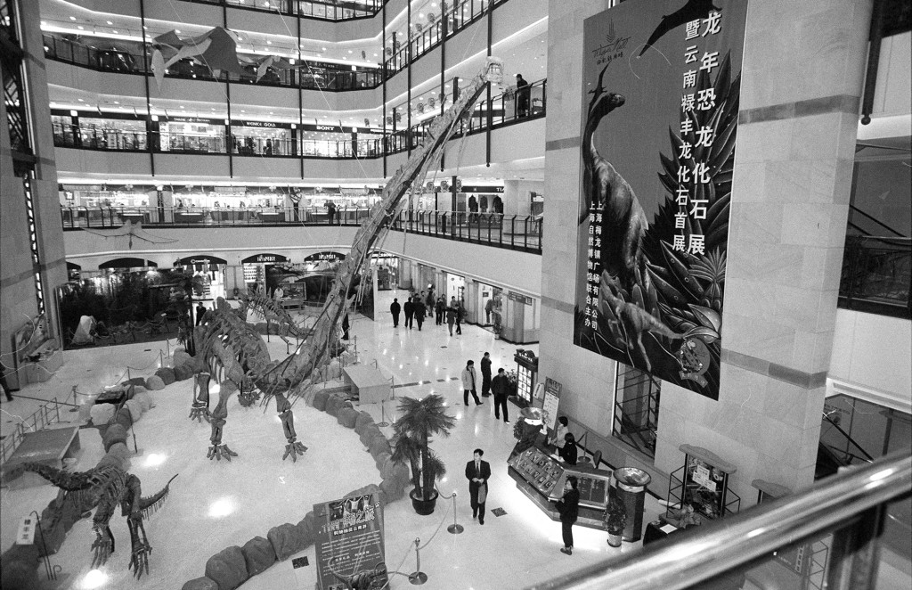 2000年2月，千禧龍年，兩頭來自上海自然博物館恐龍化石出現在上海梅龍鎮伊勢丹百貨。