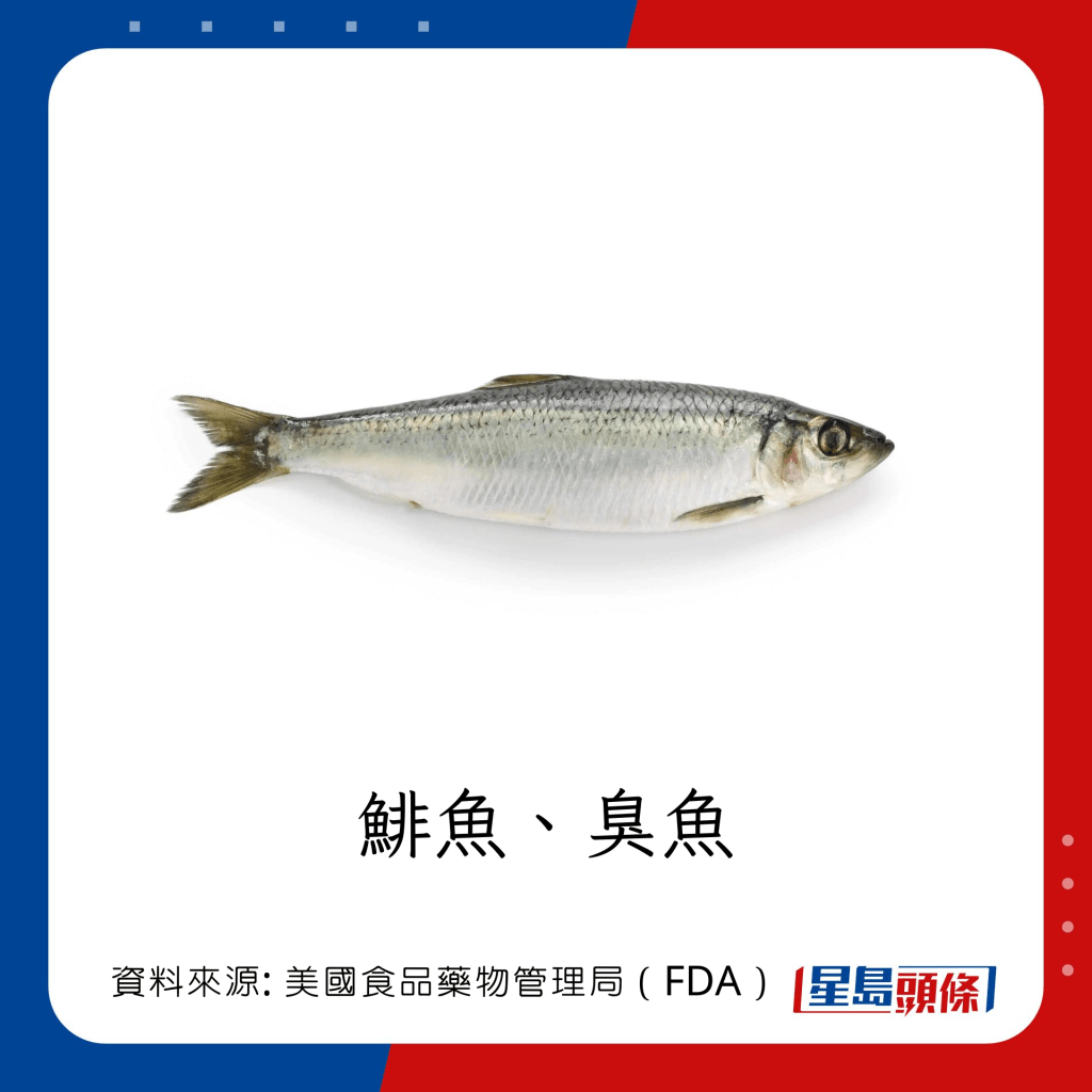 低水銀魚類 臭魚