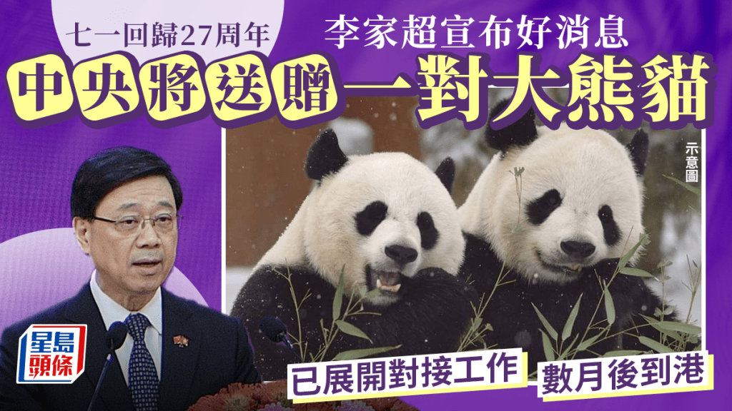 七一回歸27周年︱李家超宣布中央將送贈一對大熊貓 數月後將來到香港（圖為旅美大熊貓「美香」和「添添」，非最新送贈大熊貓）