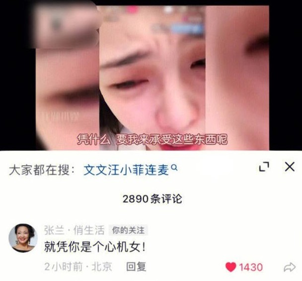 張蘭在張穎穎的直播留言：「就憑你是個心機女」。