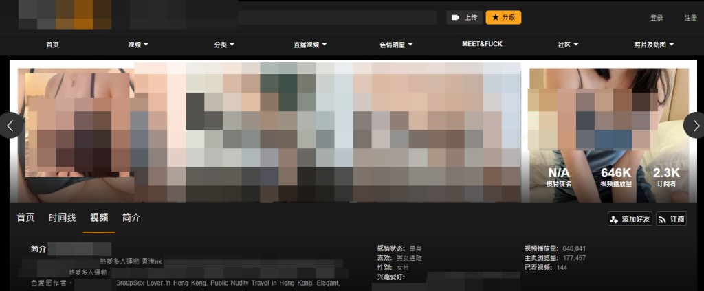 该组织同时在一些外国著名色情网站作宣传。