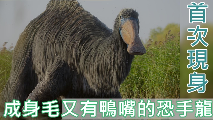 啲恐龍好得意,大開眼界。