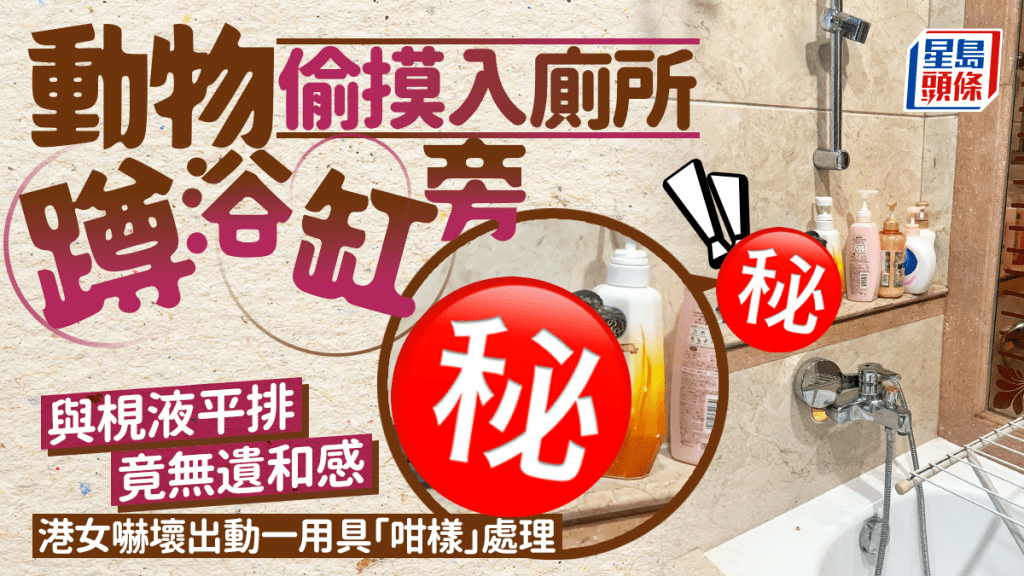 動物偷摸入廁所「扮」洗頭水 竟無遺和感 港女嚇壞出動一用具「咁樣」處理