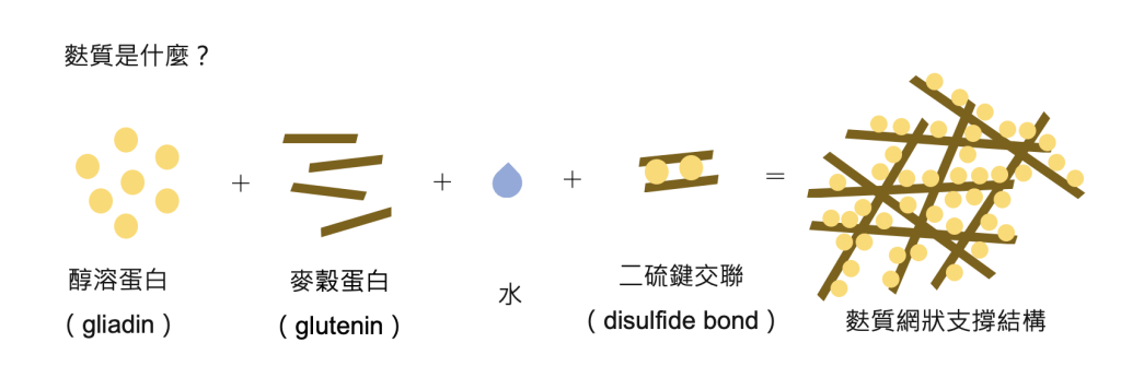 「麩質」(Gluten)是甚麼?它是醇溶蛋白(Gliadin)、麥穀蛋白(Glutenin)和水之間形成二硫鍵交聯(Disulfide Bond)的網狀支撐結構。 「麩質」(Gluten)是甚麼?它是醇溶蛋白(Gliadin)、麥穀蛋白(Glutenin)和水之間形成二硫鍵交聯(Disulfide Bond)的網狀支撐結構。
