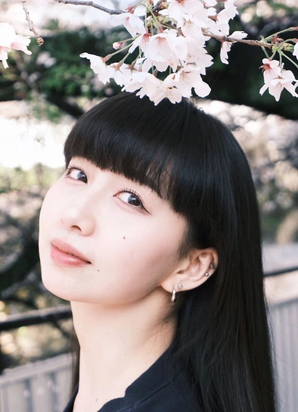 木村心美昨分享由妹妹光希拍攝的櫻花樹下照。 木村心美昨分享由妹妹光希拍攝的櫻花樹下照。