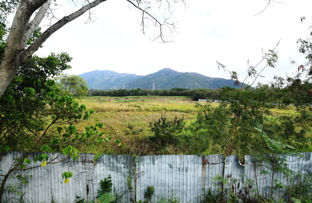 當局預計今年上半年內，向立法會提交相關的附屬法例。資料圖片