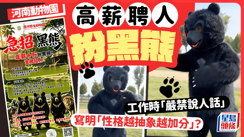 社恐筍工？｜動物園年薪10萬「嚴禁說人話」扮黑熊  每天做6小時百人應聘已招滿︱有片