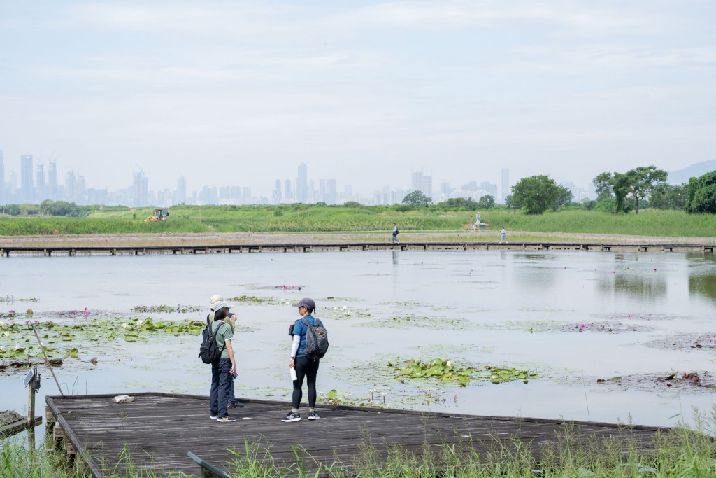 《智慧濕地管理計劃》將全面提升米埔自然保護區的生態管理效能,並促進區內濕地的可持續發展。 《智慧濕地管理計劃》將全面提升米埔自然保護區的生態管理效能,並促進區內濕地的可持續發展。