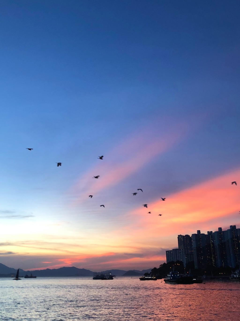 多名市民近日拍到晚霞或朝霞的美麗景象。天文台fb圖片