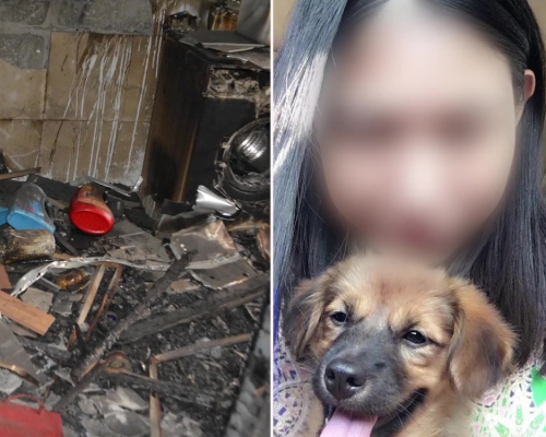 上海殺妻焚屍案揭愛犬衝入火海救主犧牲。（網圖）
