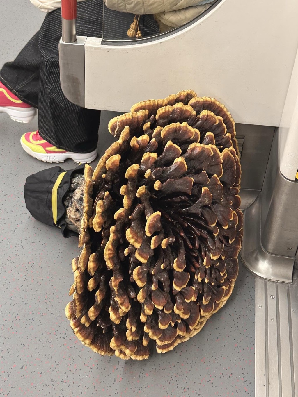 Threads截圖（資料來源：165cm_1226＠Threads）