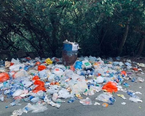 網民Joan Yip圖片