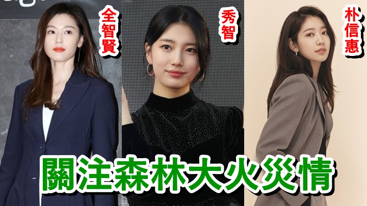 全智賢、秀智及朴信惠都有捐錢。