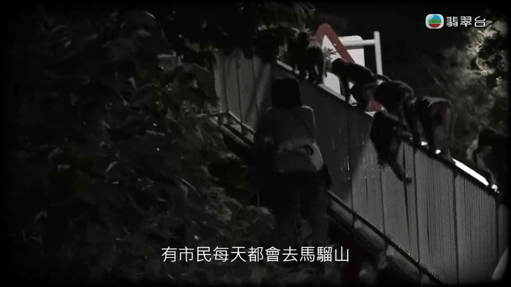 TVB《东张西望》昨日（24日）报道一名卢姓女士，每日风雨不改、大袋细袋前往马骝山喂食。