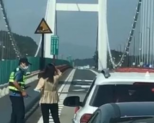 虎門大橋曾出現異常搖晃。 網圖