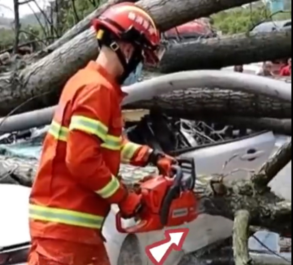 消防员利用工具将树枝锯断。网片截图