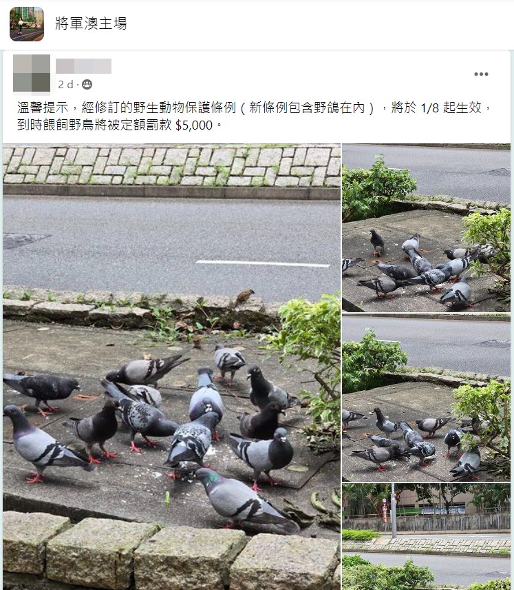 寶林街坊溫馨提示餵鴿人。fb「將軍澳主場」截圖