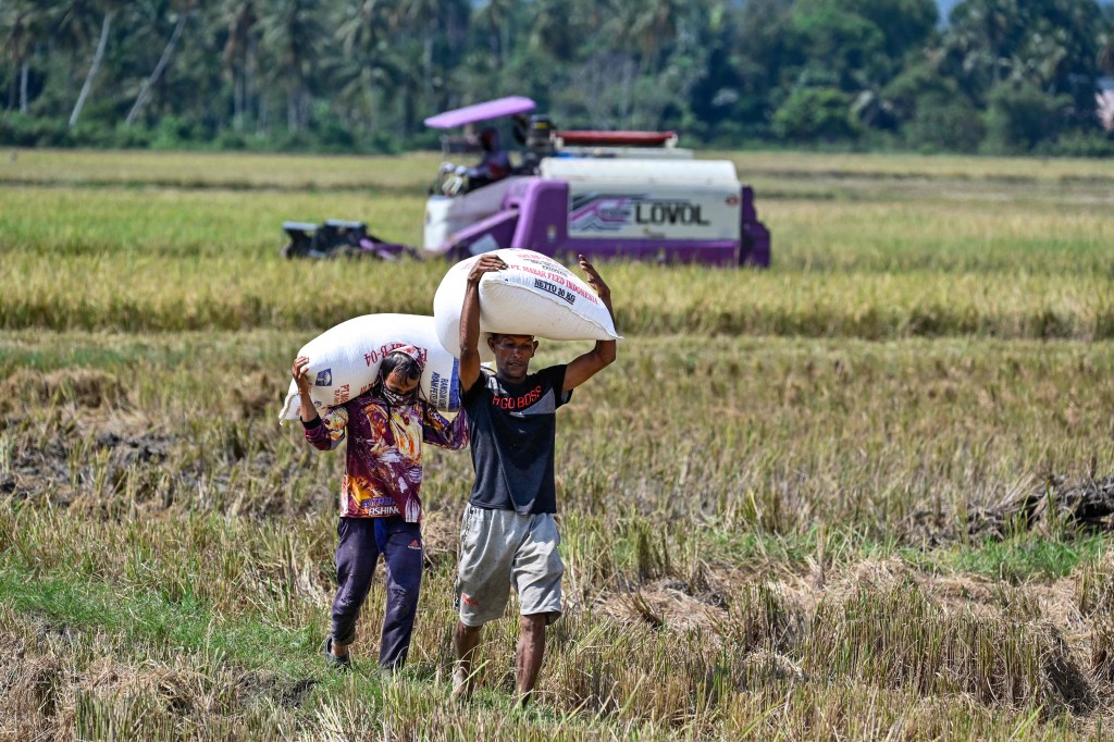 中東戰事令肥料斷供，威脅糧食生產。法新社