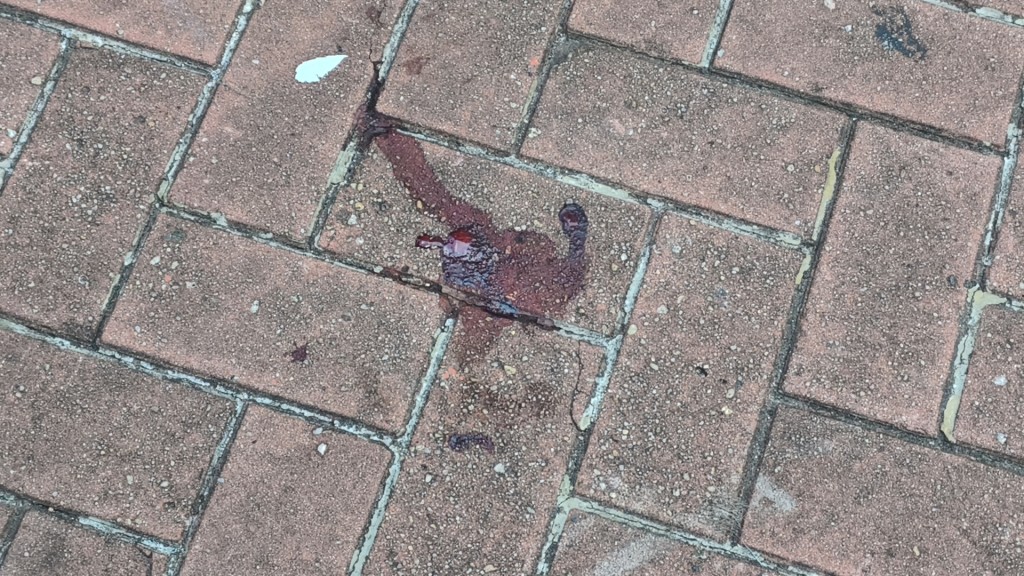 現場遺下一灘血迹。 現場遺下一灘血迹。