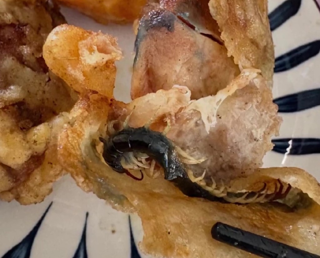 江苏食客吃炸鸡惊见原条蜈蚣。