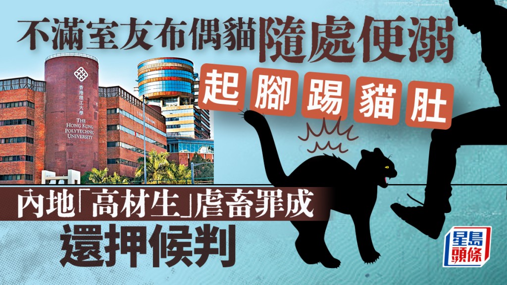內地高材生起腳踢貓肚,虐畜罪成還押候懲。