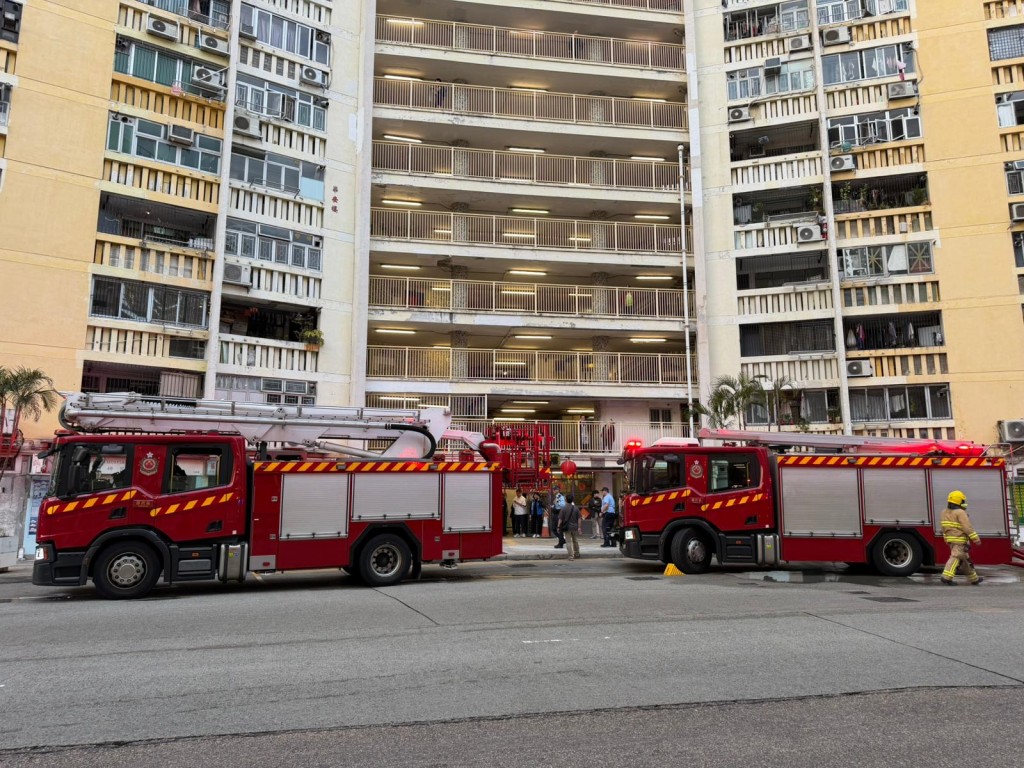 消防到场开喉灌救,将火救熄。曾志恒摄 消防到场开喉灌救,将火救熄。曾志恒摄