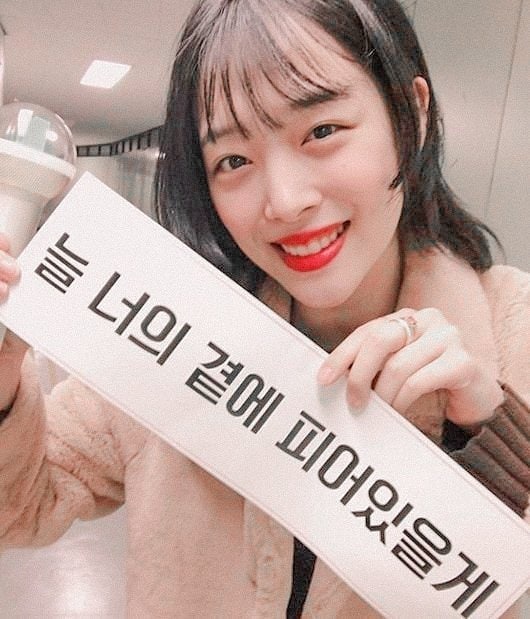 Sulli以前會拿IU應援燈和橫幅捧場。(網圖)