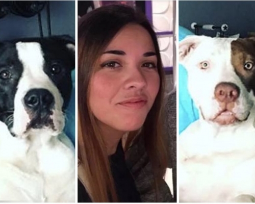 美國德州一名33歲女子到獸醫院探望其兩隻比特犬時，竟遭愛犬們咬死。　Facebook圖片
