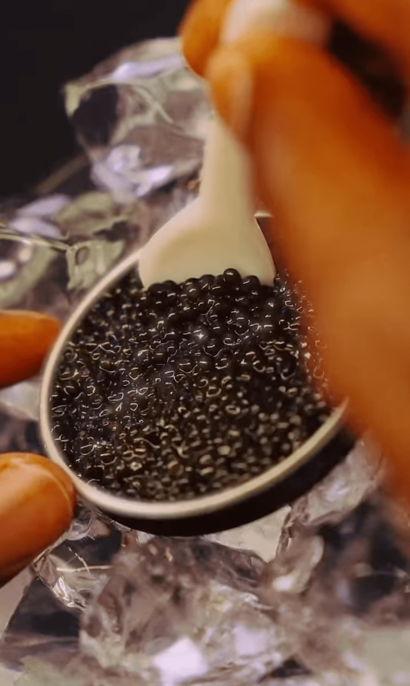 每份套餐包含一罐1盎司（約28克）Paramount魚子醬、一張價值25美元(約195港元)的麥樂雞禮券，以及鮮忌廉與專用魚子醬勺子。