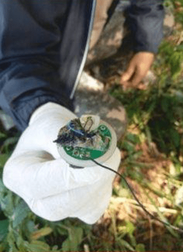 泰國警方在現場調查。Facebook@Drama-addict 泰國警方在現場調查。Facebook@Drama-addict