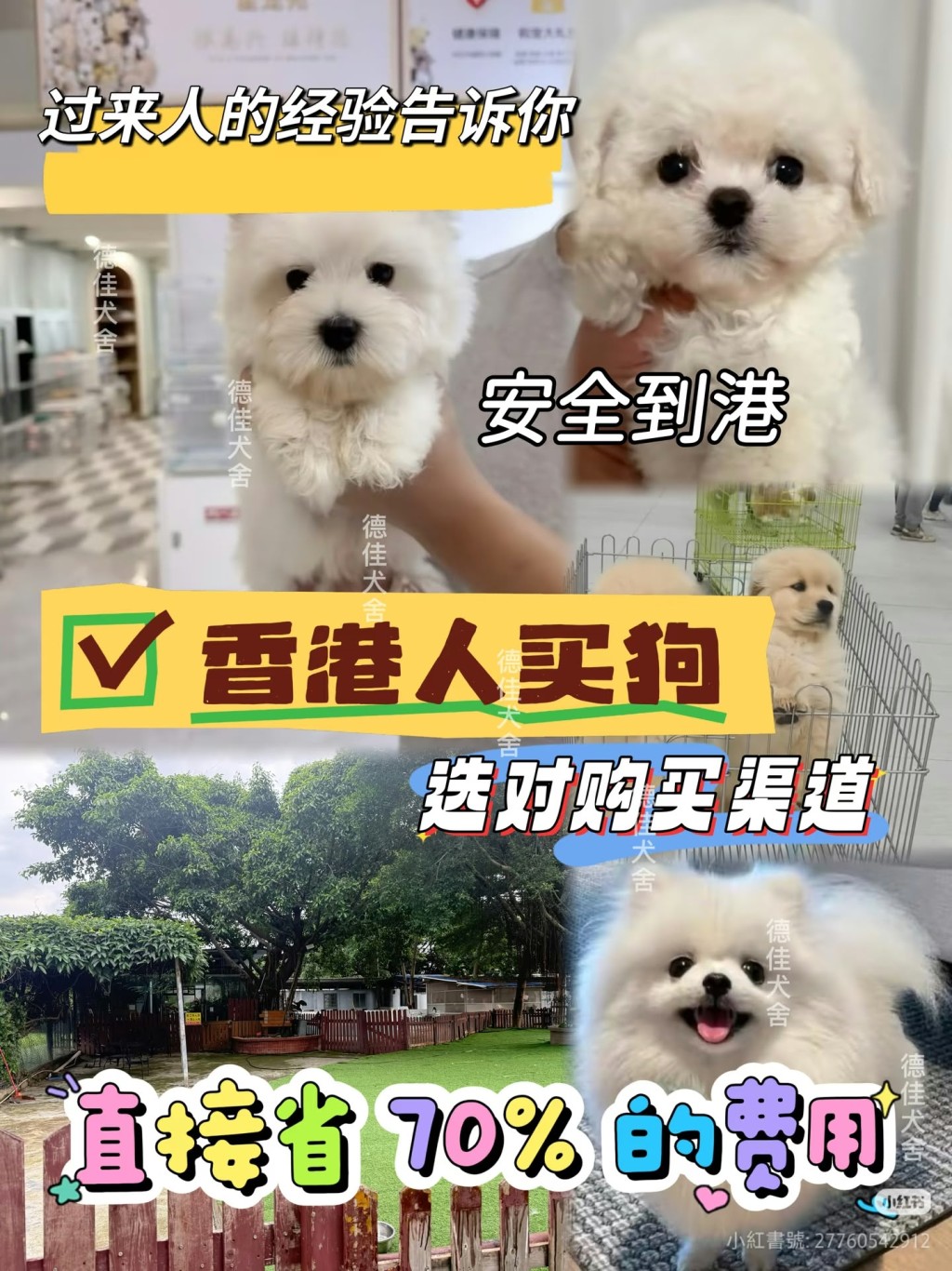 内地社交平台上可找到不少购买宠物并运抵香港的渠道,大多标榜「安全到港」。 内地社交平台上可找到不少购买宠物并运抵香港的渠道,大多标榜「安全到港」。