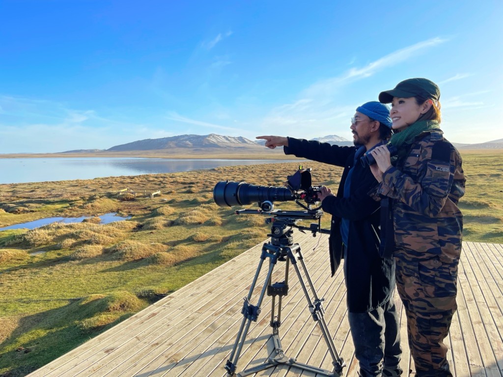 探索内地的大自然环境。