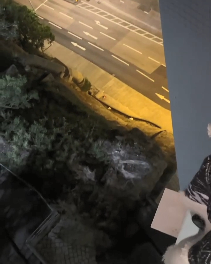 譚嘉儀全程親身上陣,勇氣可嘉。 譚嘉儀全程親身上陣,勇氣可嘉。