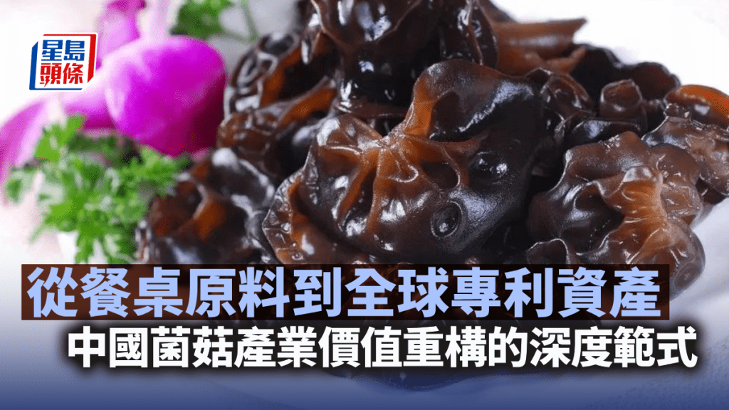 从餐桌原料到全球专利资产：中国菌菇产业价值重构的深度范式｜陈新燊
