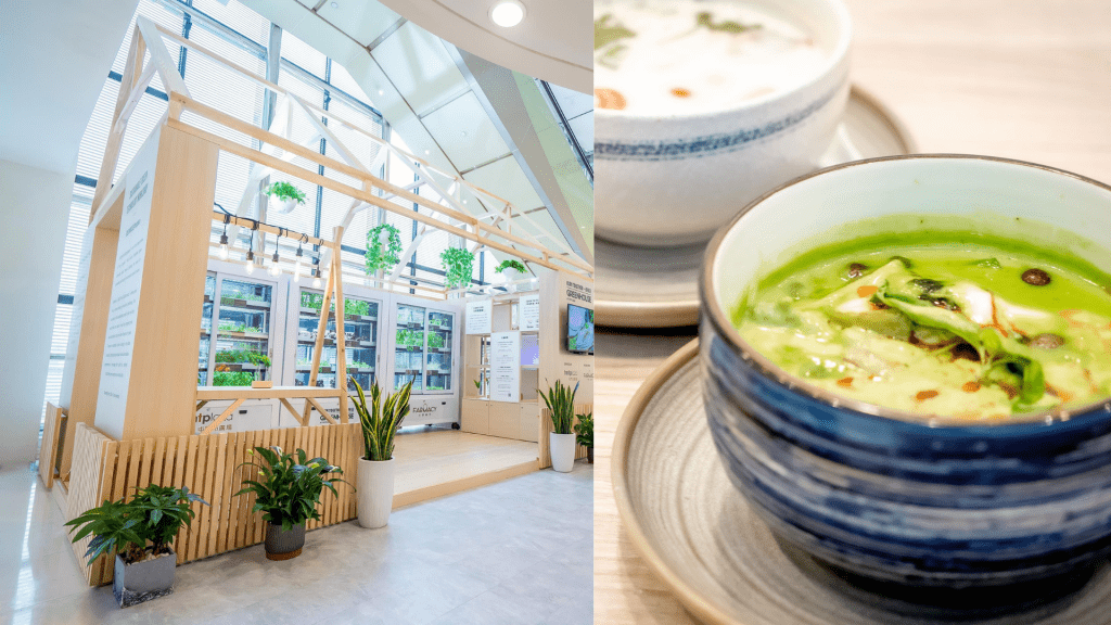 屯門市廣場的泰國餐廳Bamboo Thai將種植得來的羅勒及芫荽，用於椰香青咖喱雞及椰子雞湯中。