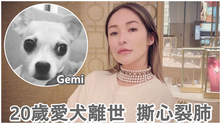 蕭亞軒的20歲愛犬前日離世,傷心欲絕。