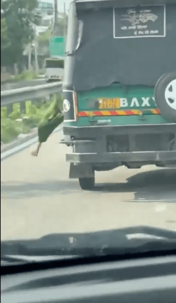 根據社交媒體流傳的影片可見,一輛電動三輪車正在公路疾駛之際,一名女子突然從車內奮力爬出。X@ashraphdhuddy 根據社交媒體流傳的影片可見,一輛電動三輪車正在公路疾駛之際,一名女子突然從車內奮力爬出。X@ashraphdhuddy