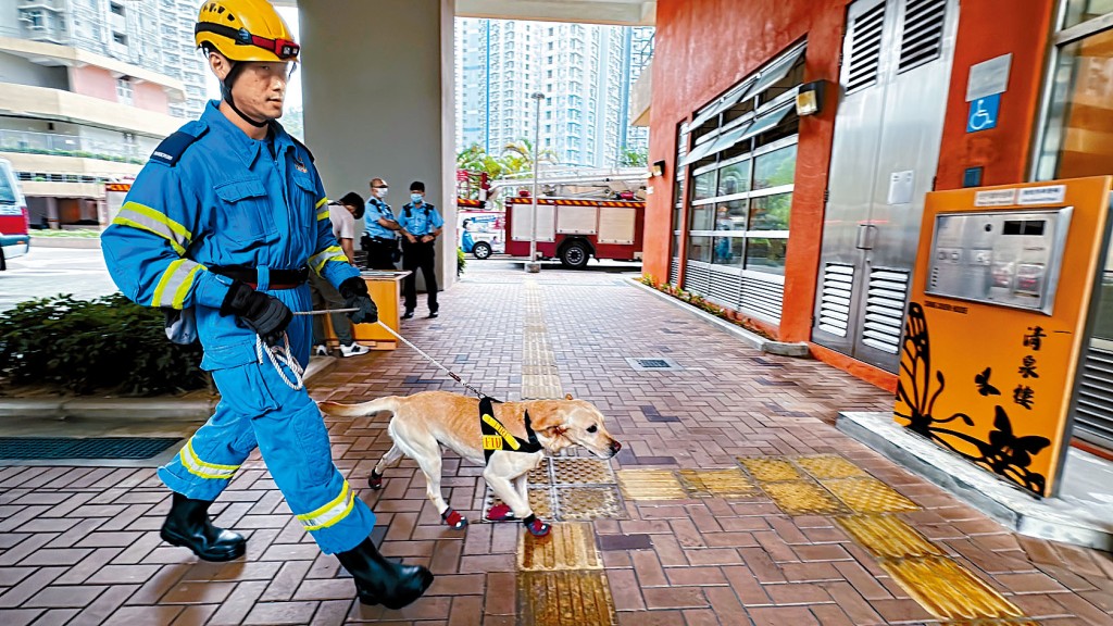 消防犬到場進入起火單位蒐證。