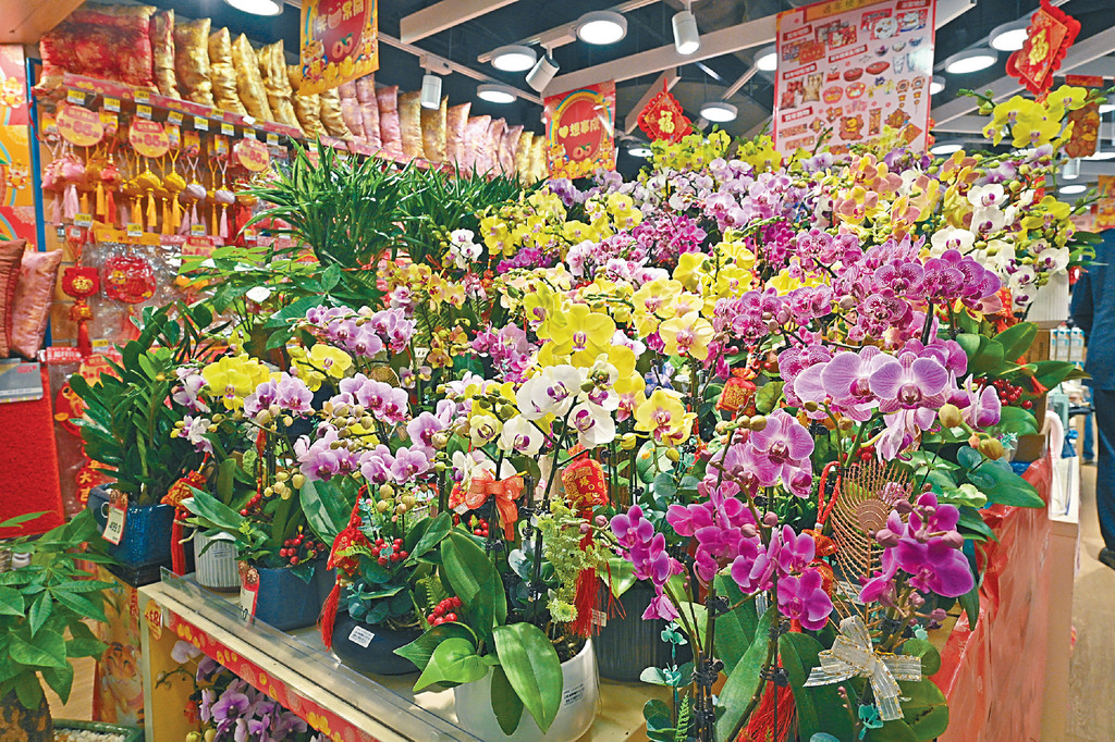 ■近兩年政府取消全港年宵花市，日本城銷售年花表現理想。