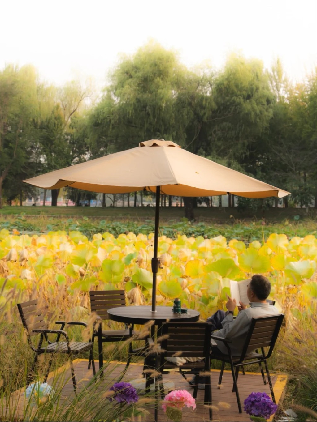 北京玉淵潭公園歐式氛圍造景大受歡迎。小紅書