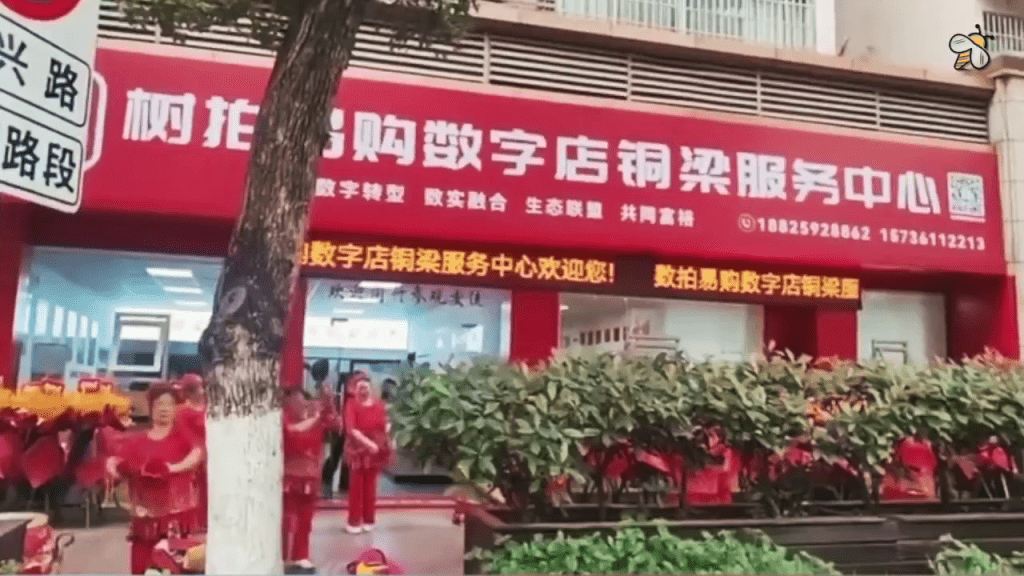 網傳樹拍爆煲。 網傳樹拍爆煲。