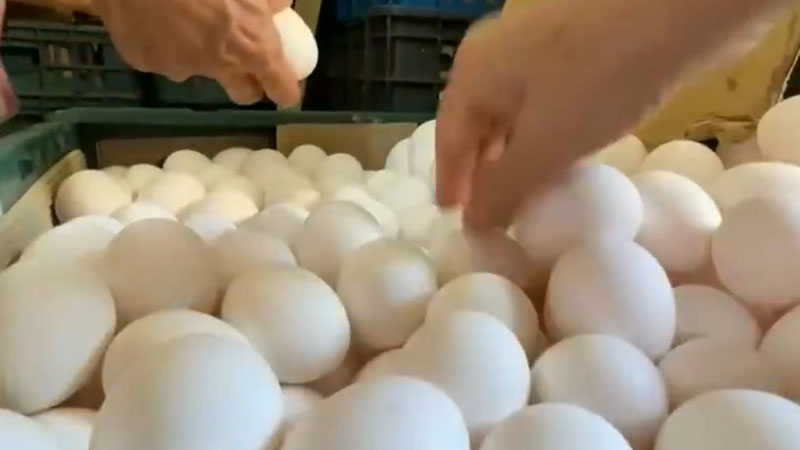 中华民国蛋价委员会执行长陈进丁表示，蛋荒问题引发民众「抢购」，加剧缺蛋情况。 资料图片