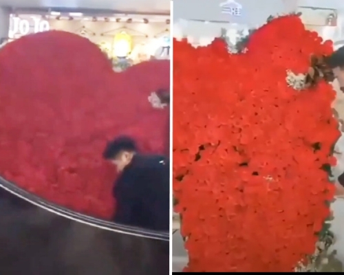 內地男子為與前妻復合而準備巨型玫瑰花牌，不料在扶手電梯上被撞爛。影片截圖