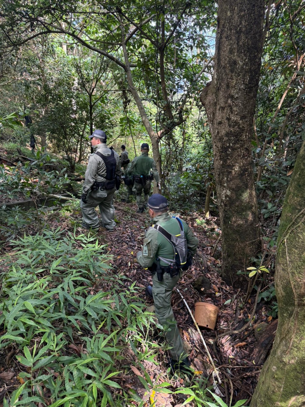 警方在香港島山頂郊區一帶鄰近住宅的山坡及附近密林進行高調巡邏及搜捕行動。 警方在香港島山頂郊區一帶鄰近住宅的山坡及附近密林進行高調巡邏及搜捕行動。