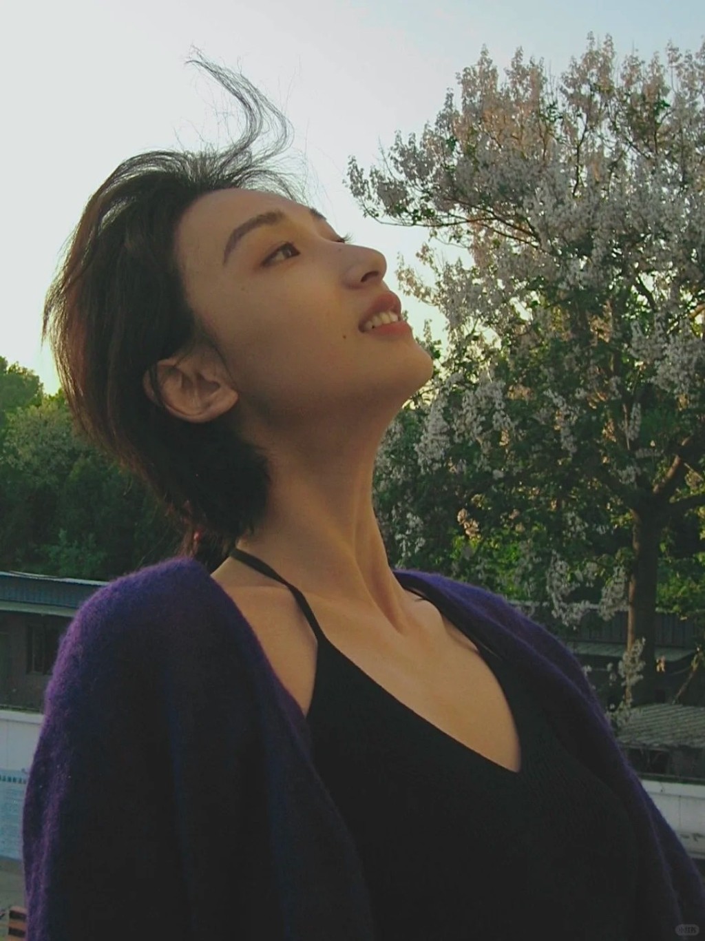 蘇暢甚有氣質。 蘇暢甚有氣質。