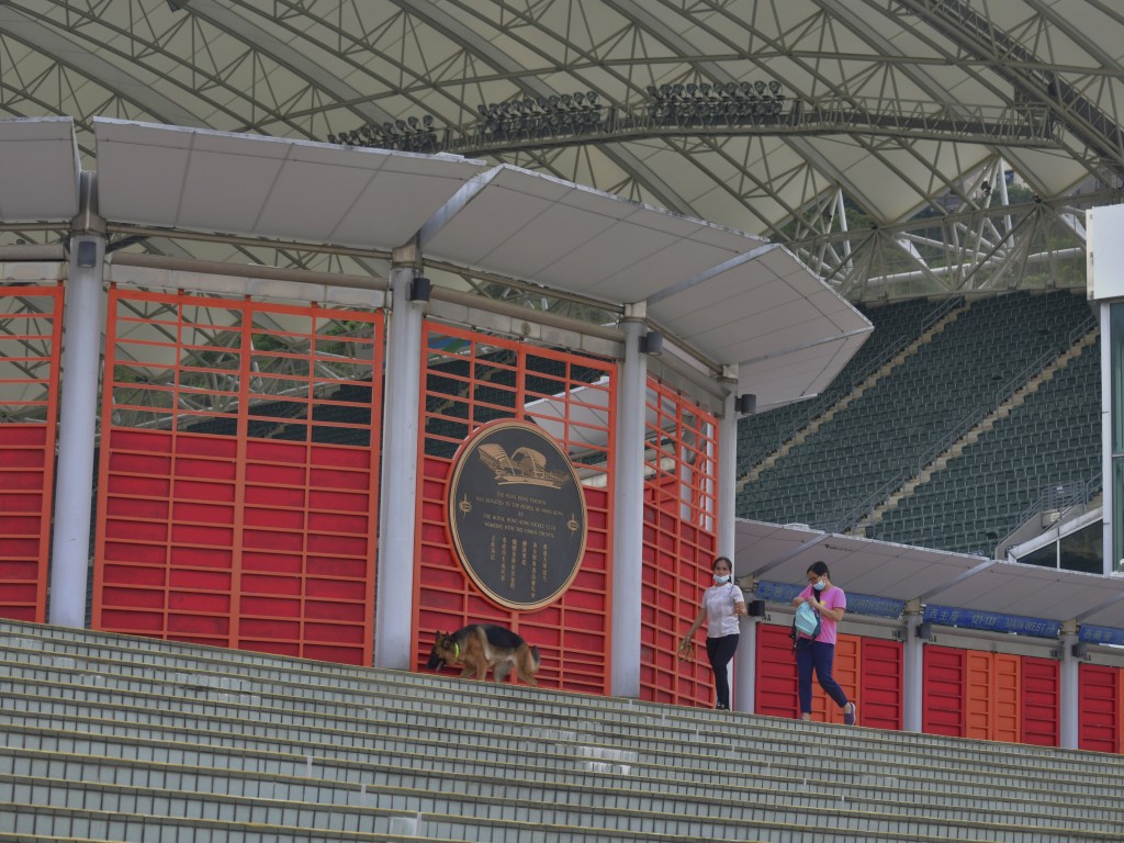 大球場有40000座位，是香港最大型戶外體育場地。 朱永倫攝