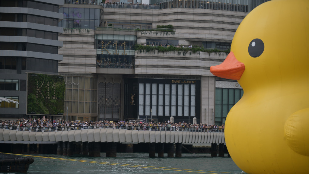 维港橡皮鸭展览6月18日完结，有市民前来打卡。（陈浩元摄）