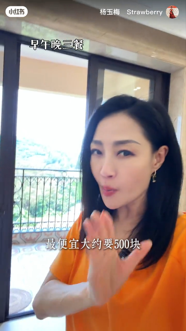 楊玉梅表示香港要解決三餐,大約要花500元。 楊玉梅表示香港要解決三餐,大約要花500元。