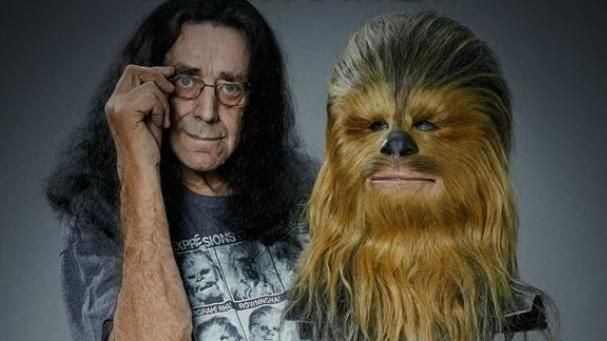 Peter Mayhew、「朱兒」。
