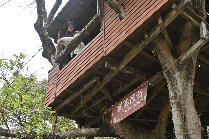 樹屋是整個樹屋田莊的焦點設施。